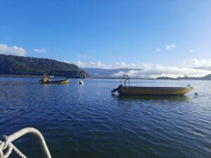 cabañas isla del rey (6)