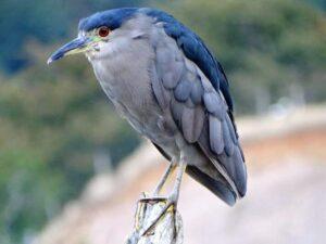 isla-del-rey-slider-6