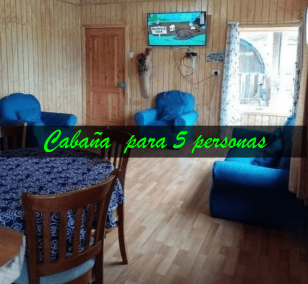 Cabaña con tinaja y Sauna en Pilolcura - Imagen 9
