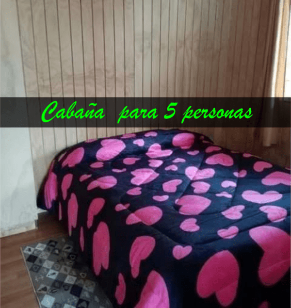 Cabaña con tinaja y Sauna en Pilolcura - Imagen 12