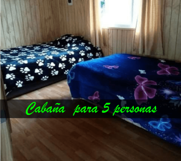 Cabaña con tinaja y Sauna en Pilolcura - Imagen 13