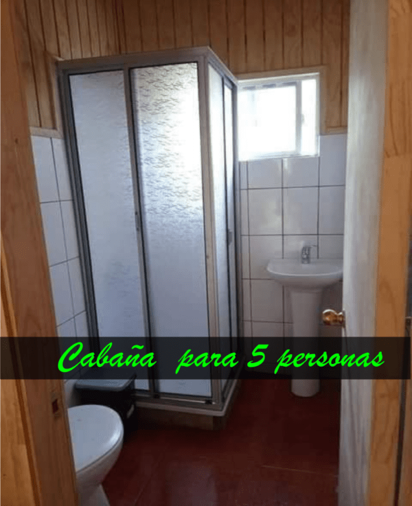 Cabaña con tinaja y Sauna en Pilolcura - Imagen 6