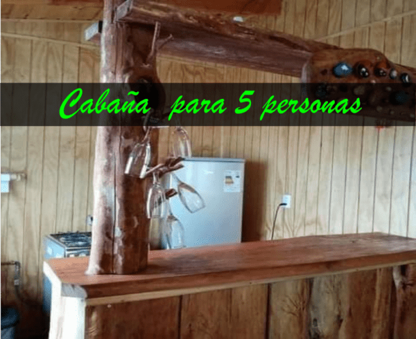 Cabaña con tinaja y Sauna en Pilolcura - Imagen 7