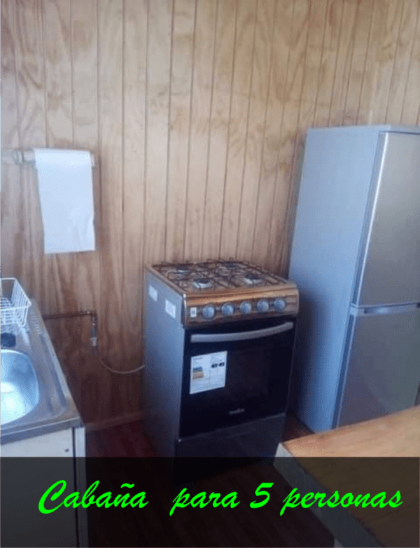 Cabaña con tinaja y Sauna en Pilolcura - Imagen 8