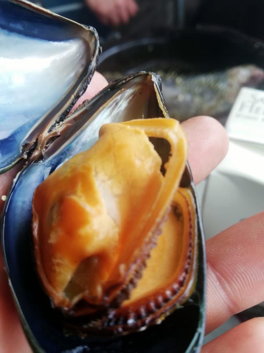 lofi buceo hostel (28)