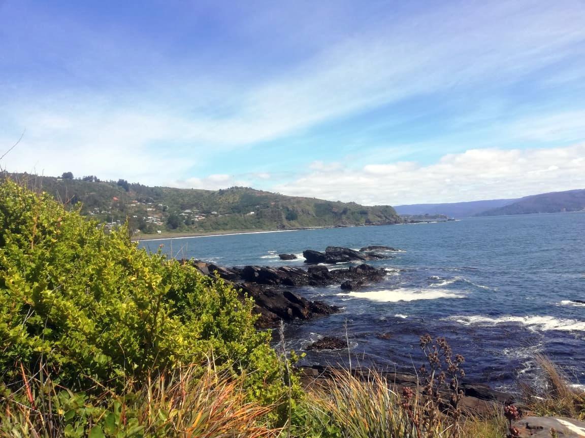 lofi buceo hostel (31)