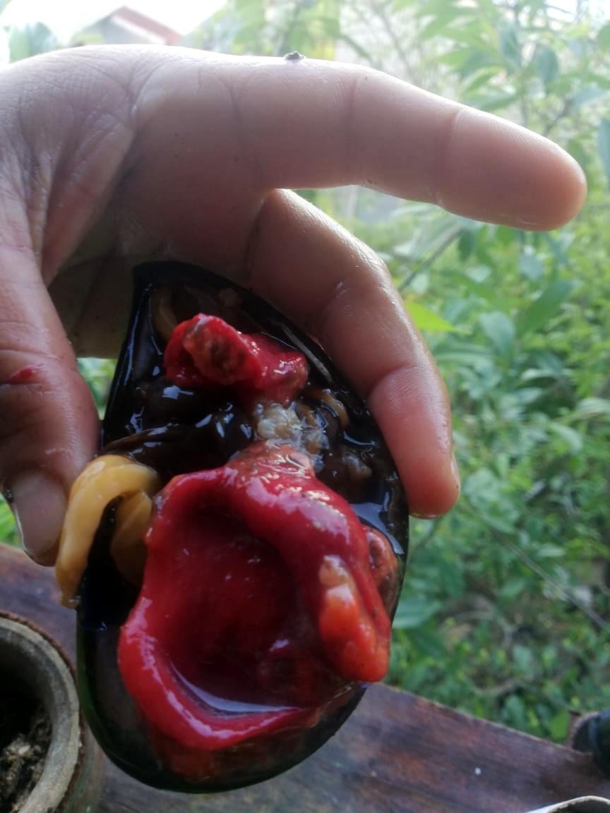 lofi buceo hostel (42)