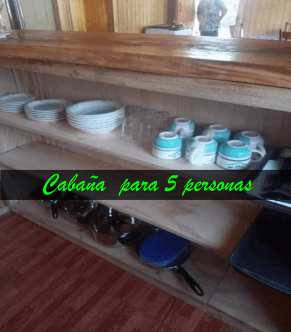 Cabaña con tinaja y Sauna en Pilolcura - Imagen 10