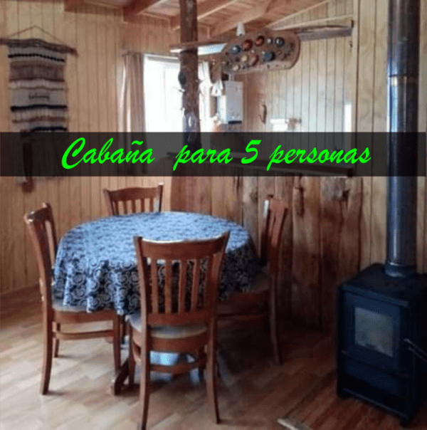 Cabaña con tinaja y Sauna en Pilolcura - Imagen 11