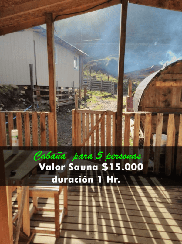 Cabaña con tinaja y Sauna en Pilolcura - Imagen 2
